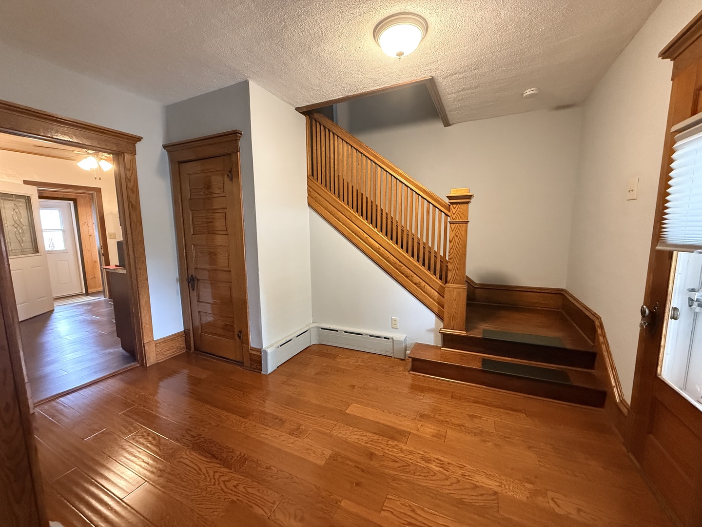 217 West Chestnut Street Compton, IL 61318 - Photo 20 of 43
