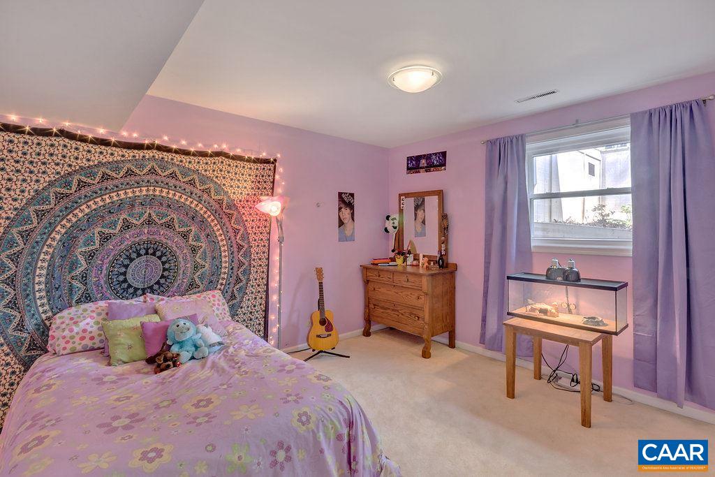 705 Village Road Charlottesville, VA 22903 - Photo 17 of 45 Gallery Image 17