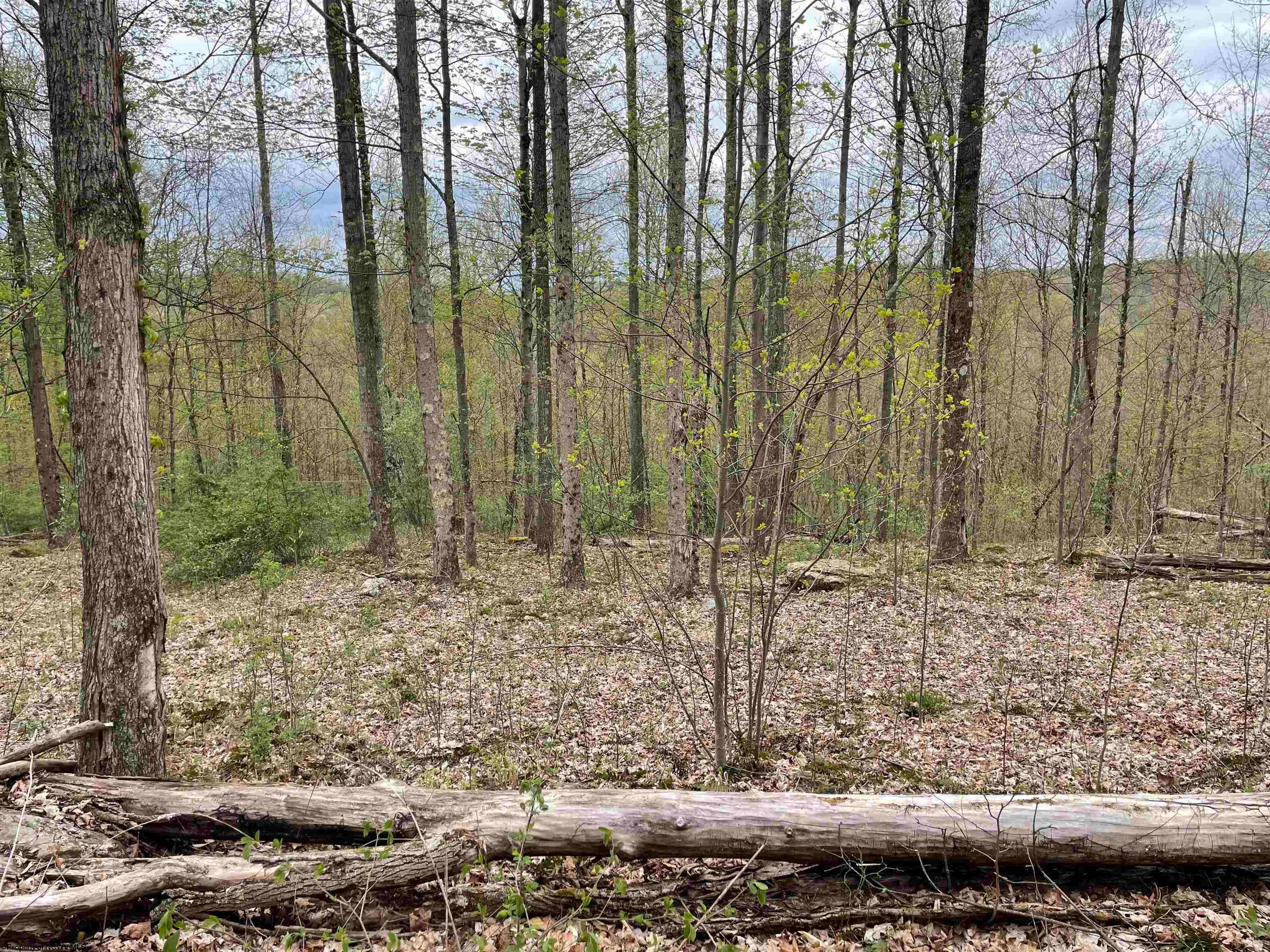 2175 Pell Road Kingwood, WV 26537 - Photo 23 of 28 Gallery Image 23