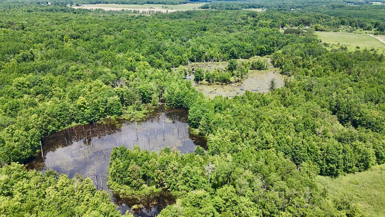 6182 Hamilton Road Harrison, MI 48625 - Photo 1 of 77