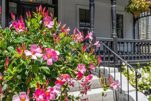 an empty room with wooden floor fireplace and windows