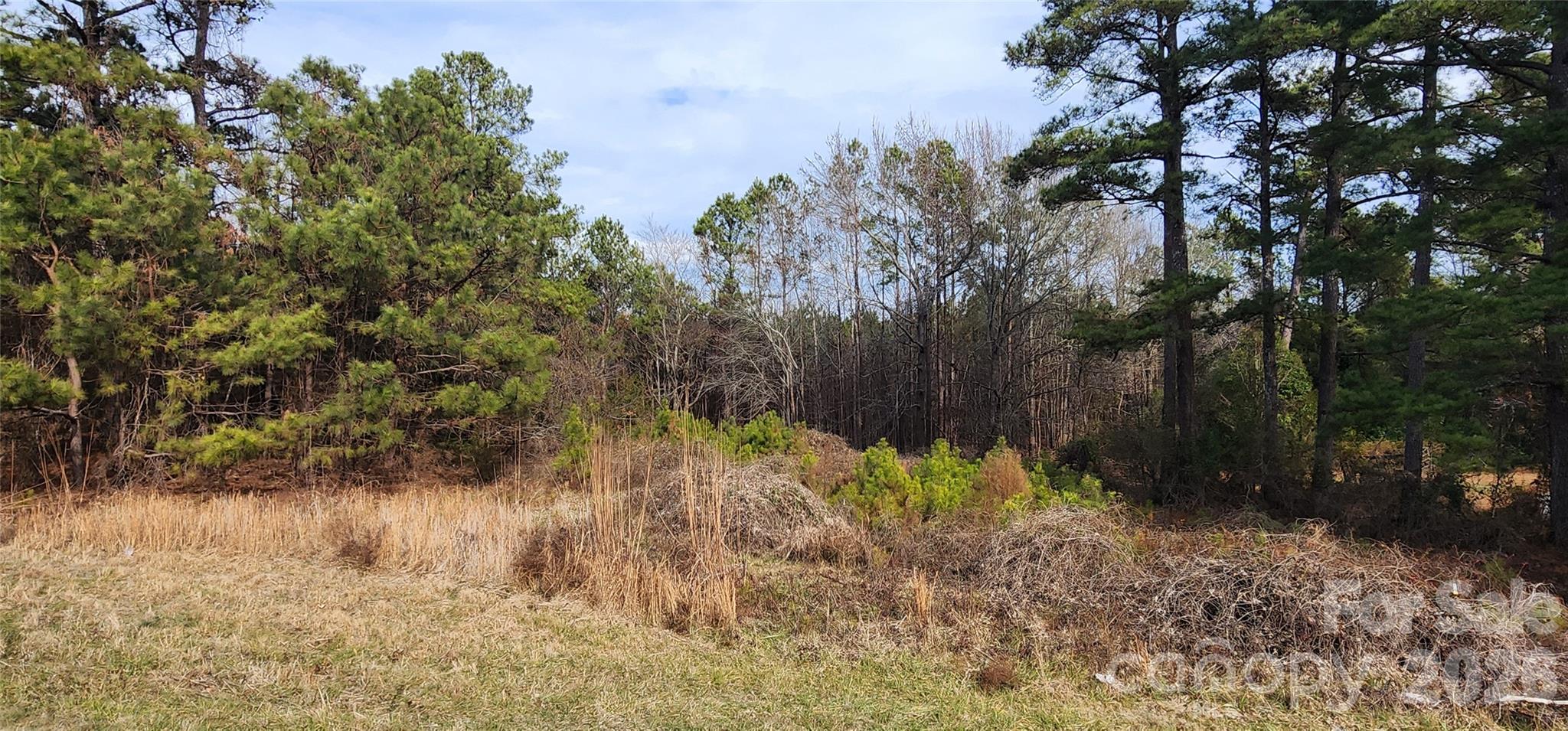 1413 Old Columbia Road Chester, SC 29706 - Photo 12 of 48