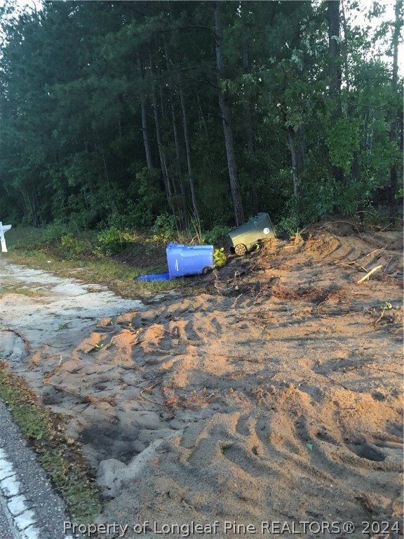 Lot 2 Braddy Road Fayetteville, NC 28306 - Photo 5 of 7