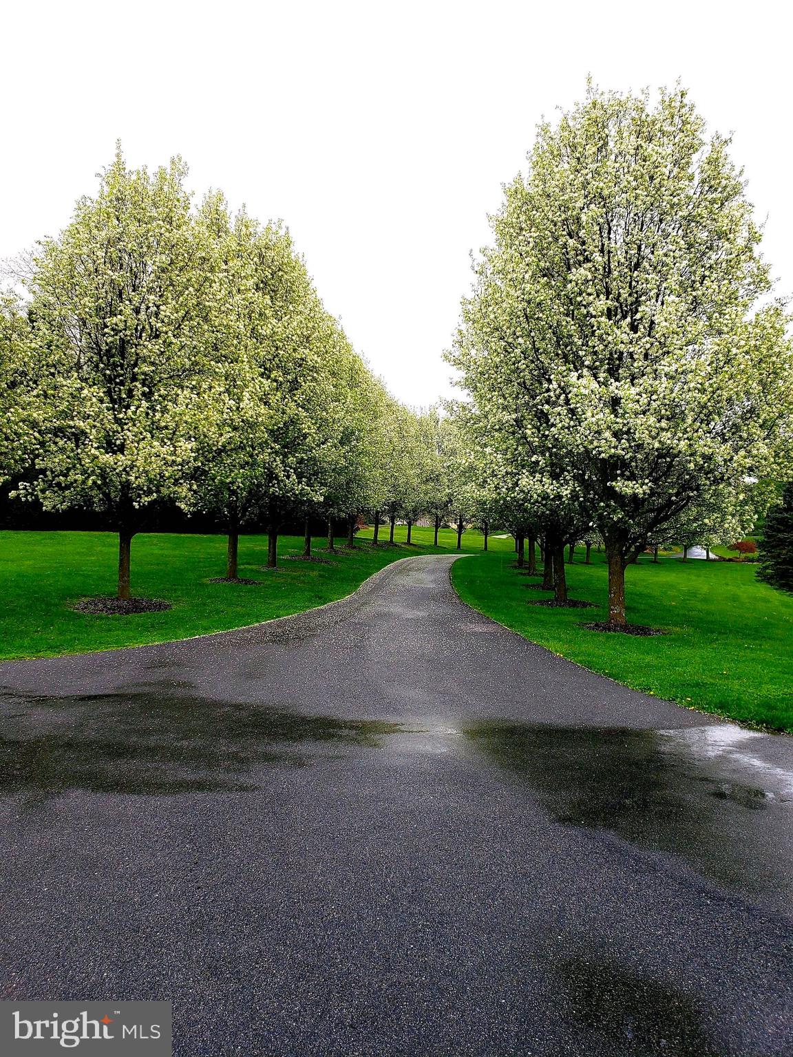 3424 Shiloh Road Hampstead, MD 21074 - Photo 66 of 77 Road entrance
