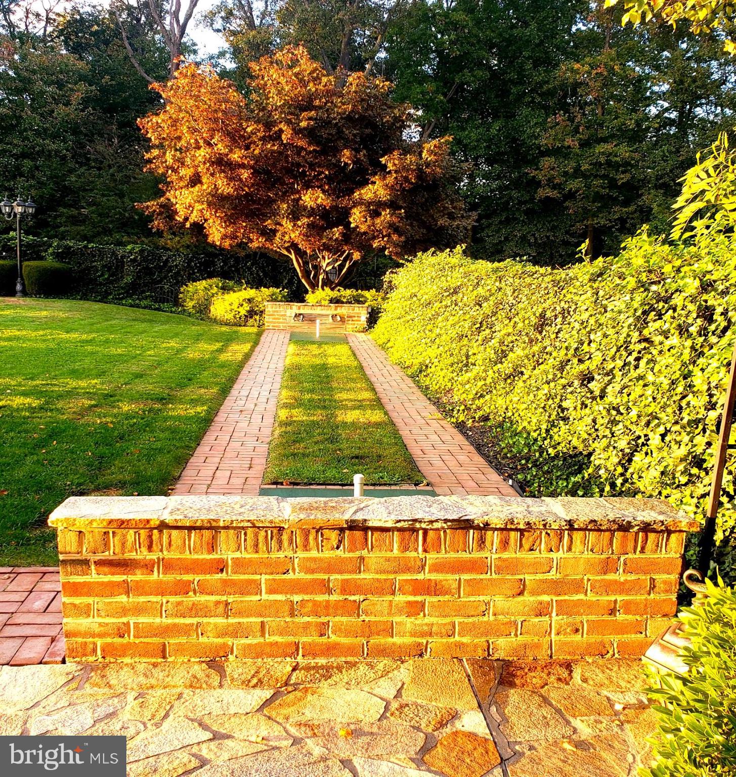 3424 Shiloh Road Hampstead, MD 21074 - Photo 71 of 77 Maple tree