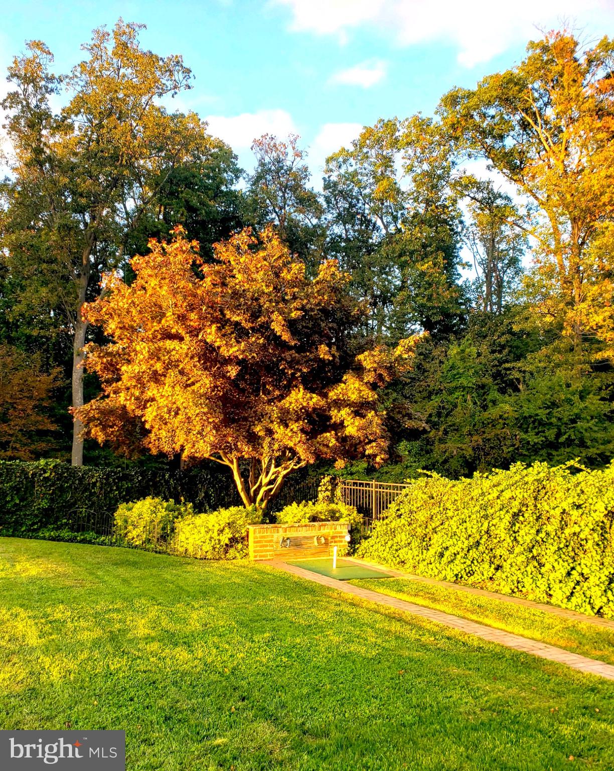 3424 Shiloh Road Hampstead, MD 21074 - Photo 72 of 77 Maple tree