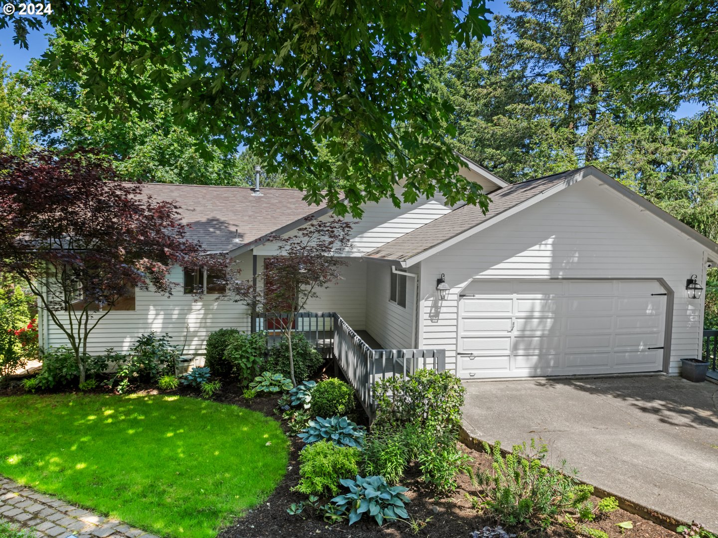 a house that has a tree in front of the house
