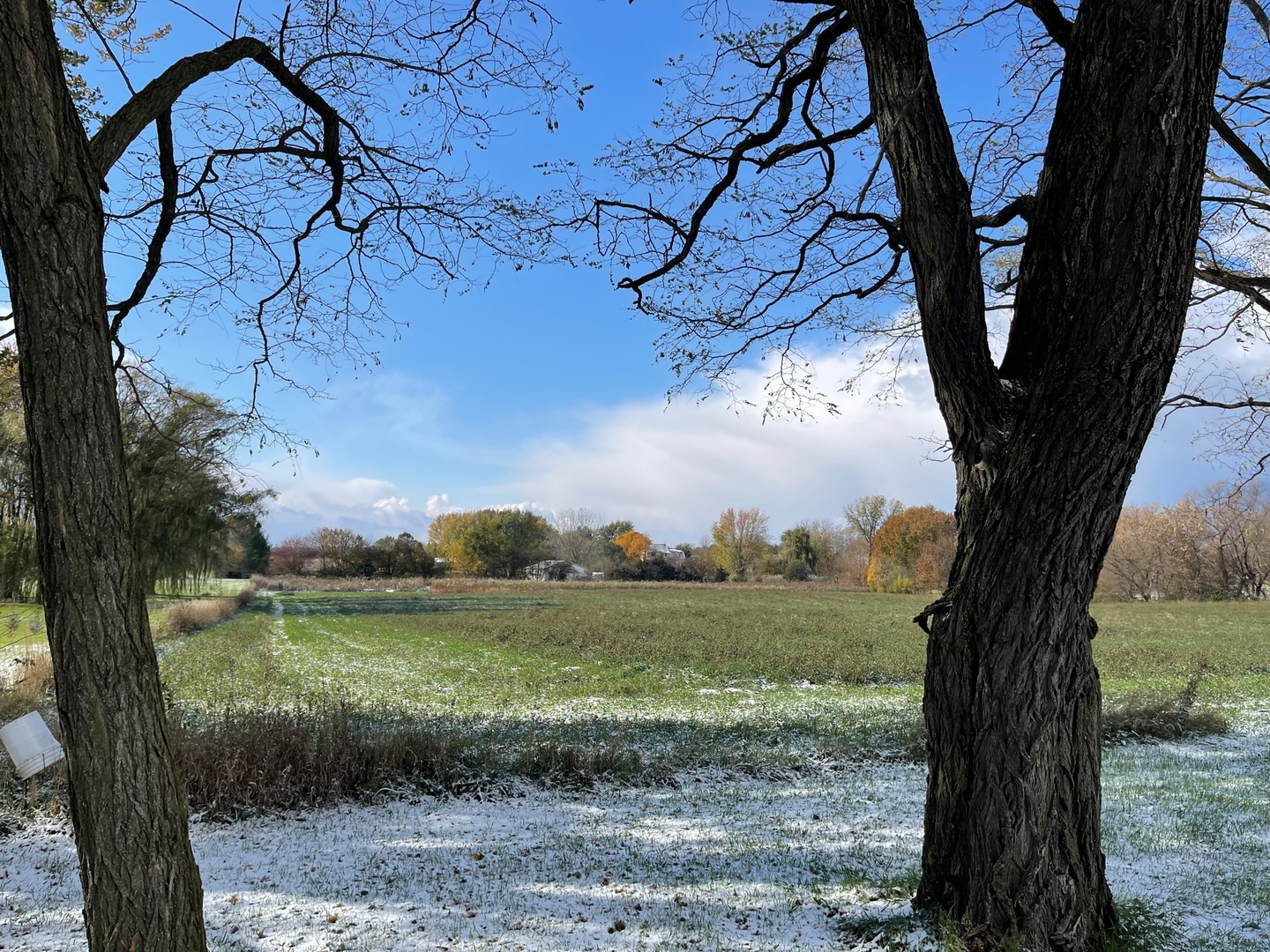 0 Cantering Lane Union, IL 60180 - Photo 3 of 6 a view of a yard with an outdoor space