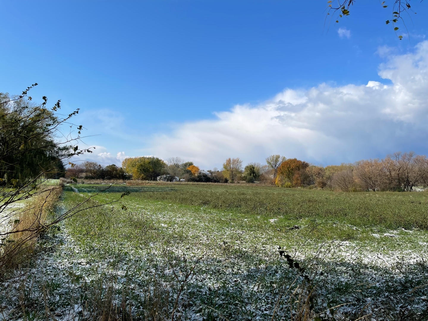 0 Cantering Lane Union, IL 60180 - Photo 4 of 6 a view of an outdoor space and a yard
