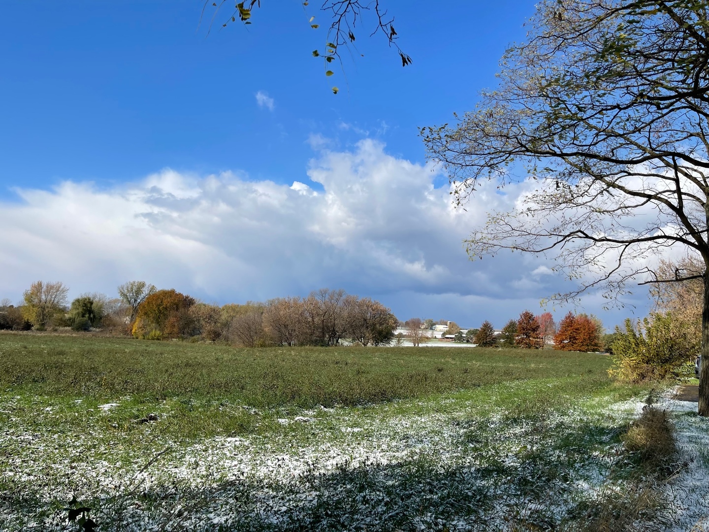 0 Cantering Lane Union, IL 60180 - Photo 5 of 6 a view of an outdoor space and yard