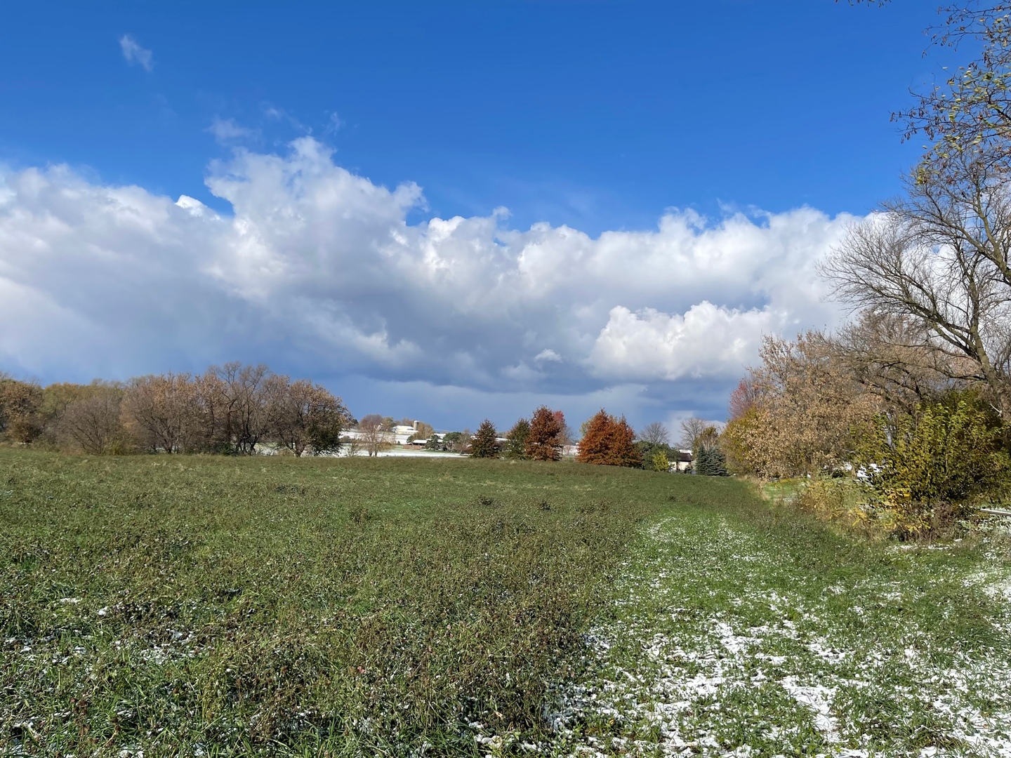 0 Cantering Lane Union, IL 60180 - Photo 6 of 6 a view of a big yard with a large trees
