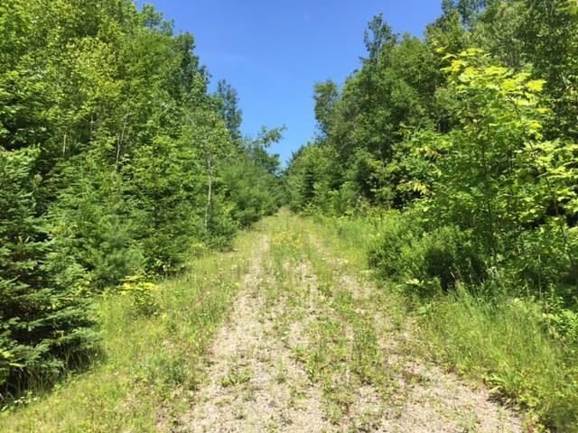 Lot 5-2 Jellison Meadow Road Ellsworth, ME 04605 - Photo 10 of 15 Photo