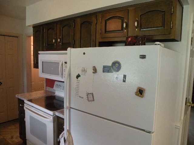 12284 Ruppert Road Perry, MI 48872 - Photo 7 of 34