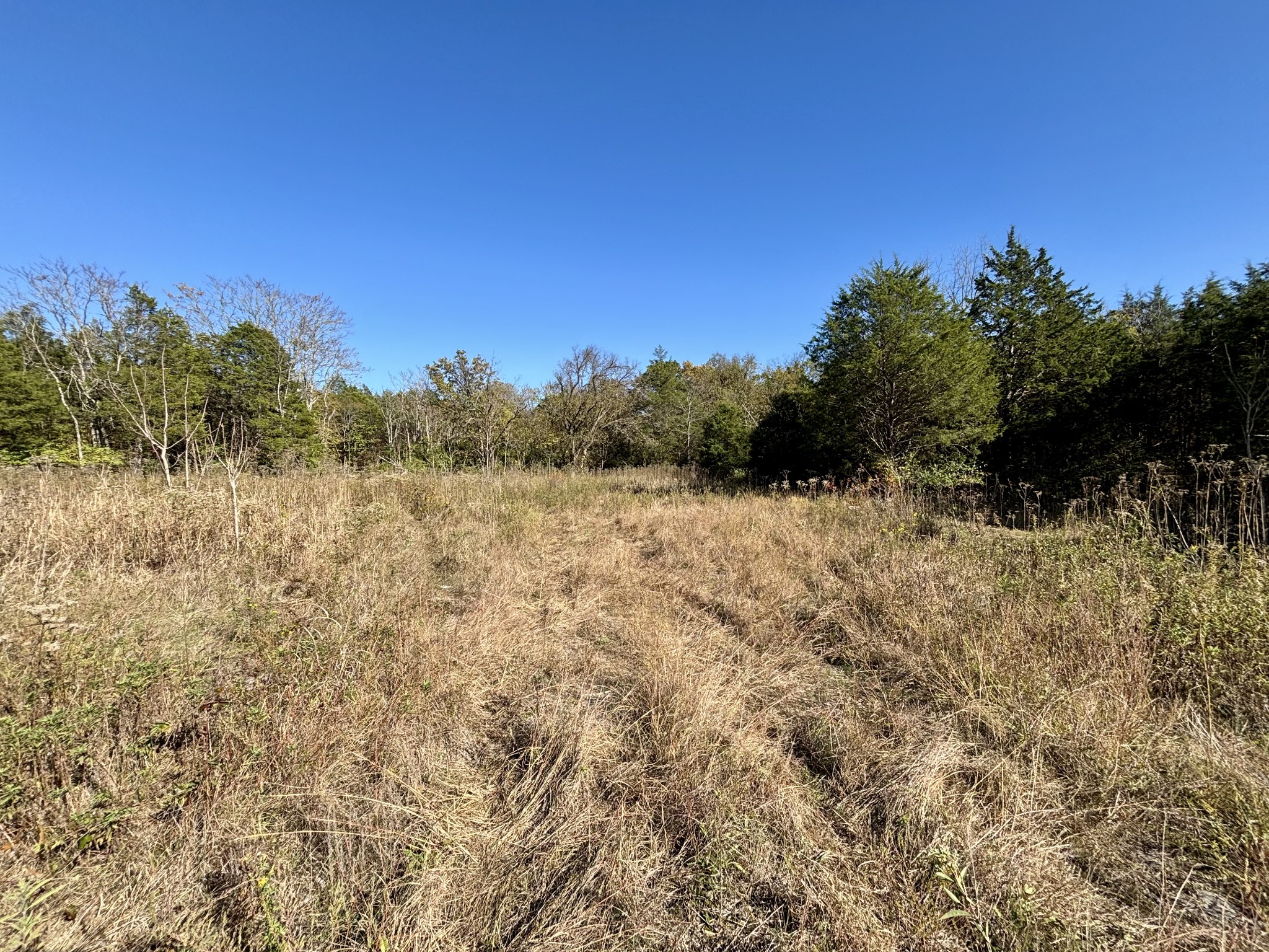 0 Quarry Road Mount Juliet, TN 37122 - Photo 11 of 14 Gallery Image 11