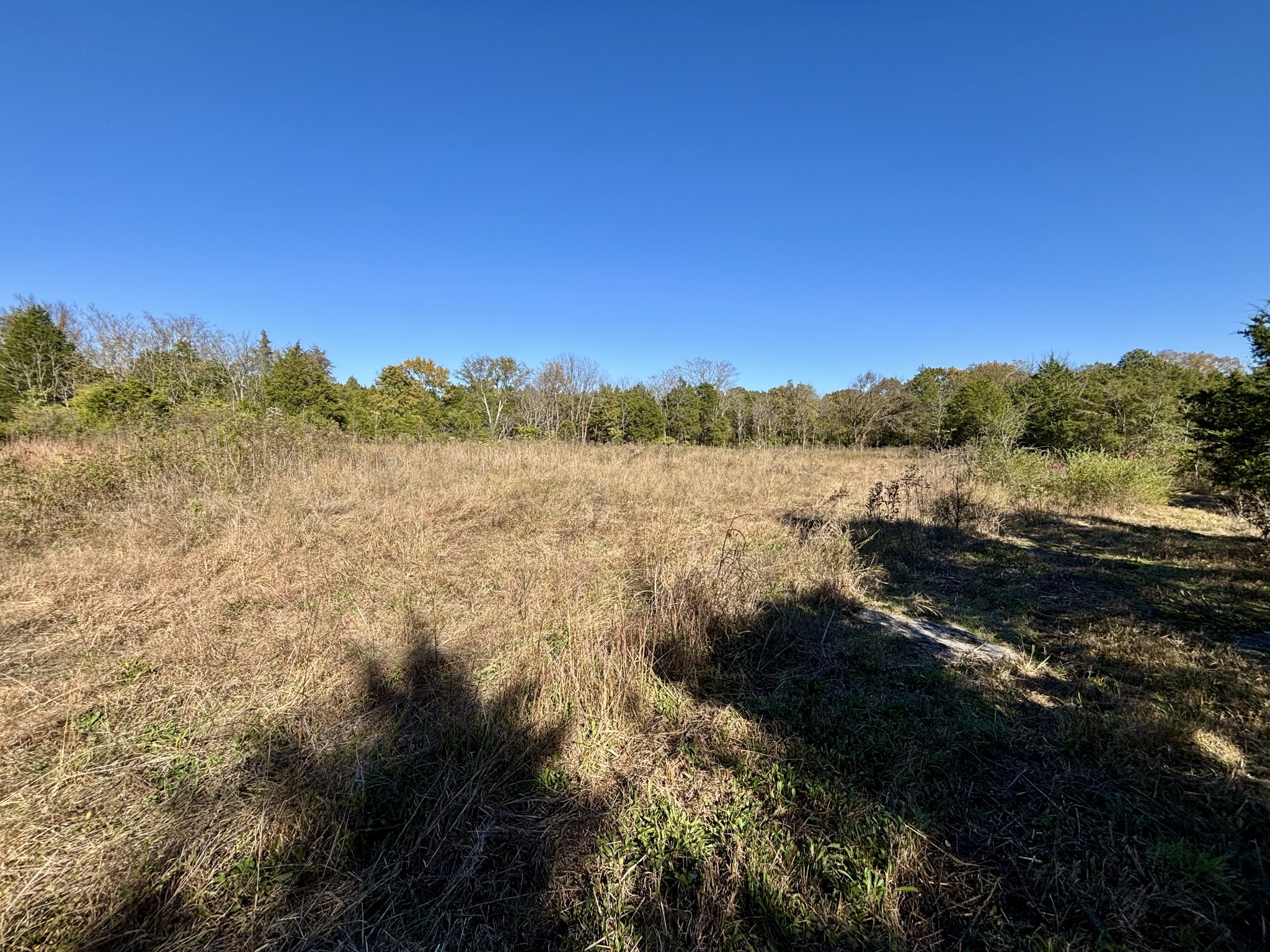 0 Quarry Road Mount Juliet, TN 37122 - Photo 10 of 14 Gallery Image 10