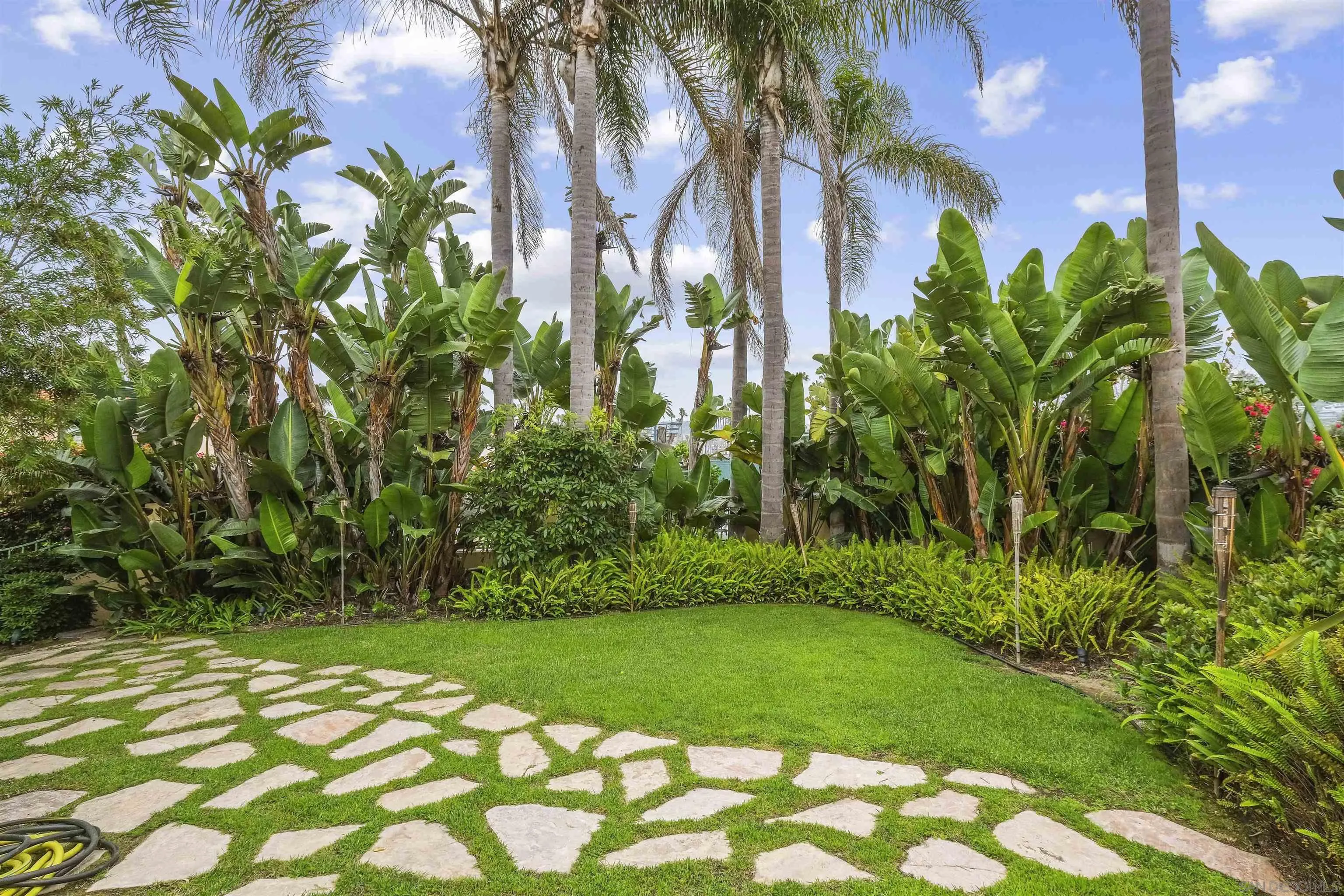 1937 Paseo Dorado La Jolla, CA 92037 - Photo 33 of 53 a view of a garden with a plant