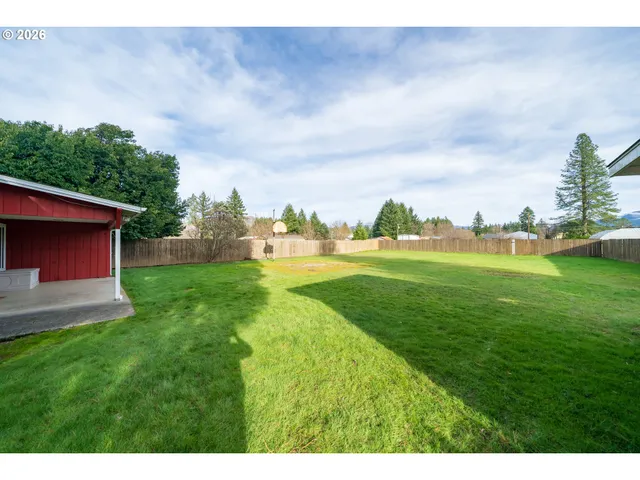 a view of a big yard with a large trees