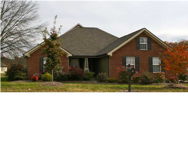 962 McBrien Road East Ridge, TN 37412 - Photo 1 of 17 Primary Photo