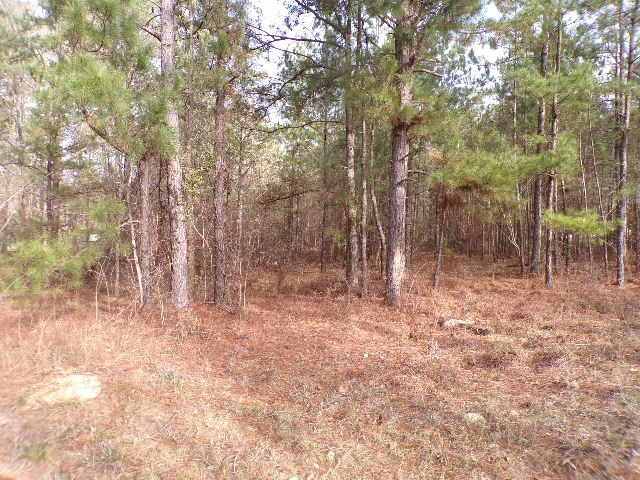 0 Hillman Gay Road Dearing, GA 30808 - Photo 3 of 10