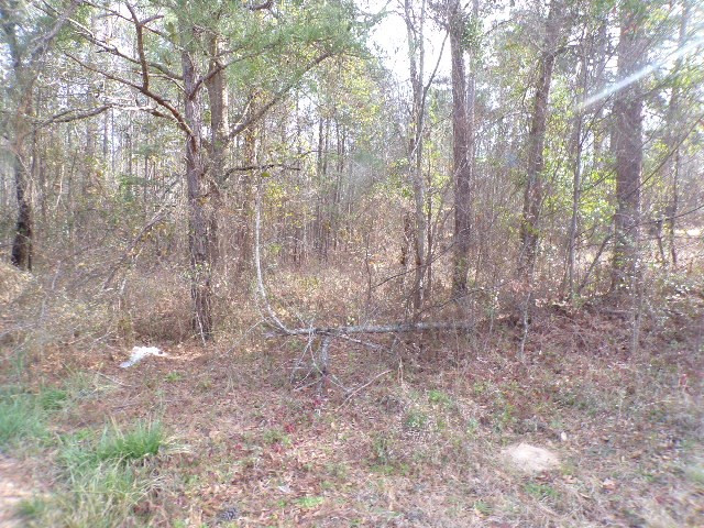 0 Hillman Gay Road Dearing, GA 30808 - Photo 4 of 10