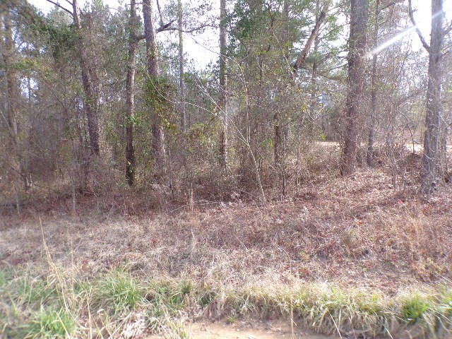 0 Hillman Gay Road Dearing, GA 30808 - Photo 5 of 10
