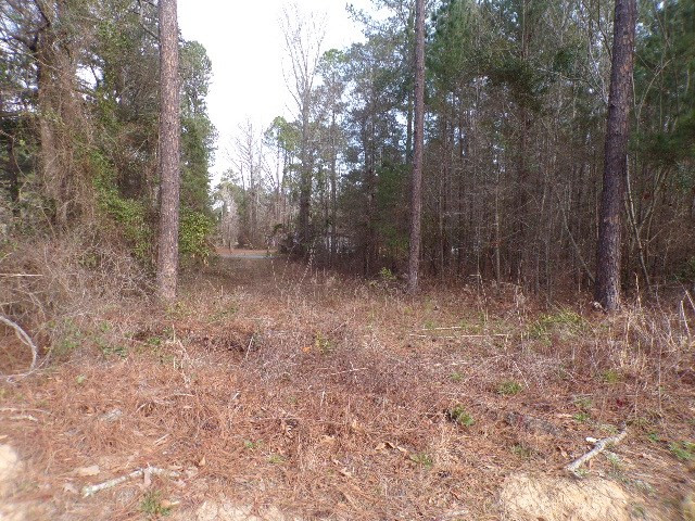 0 Hillman Gay Road Dearing, GA 30808 - Photo 6 of 10