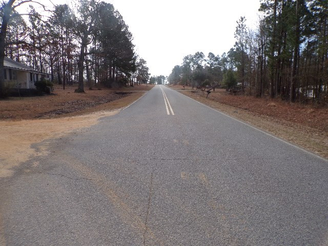 0 Hillman Gay Road Dearing, GA 30808 - Photo 8 of 10