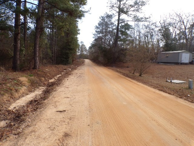 0 Hillman Gay Road Dearing, GA 30808 - Photo 9 of 10