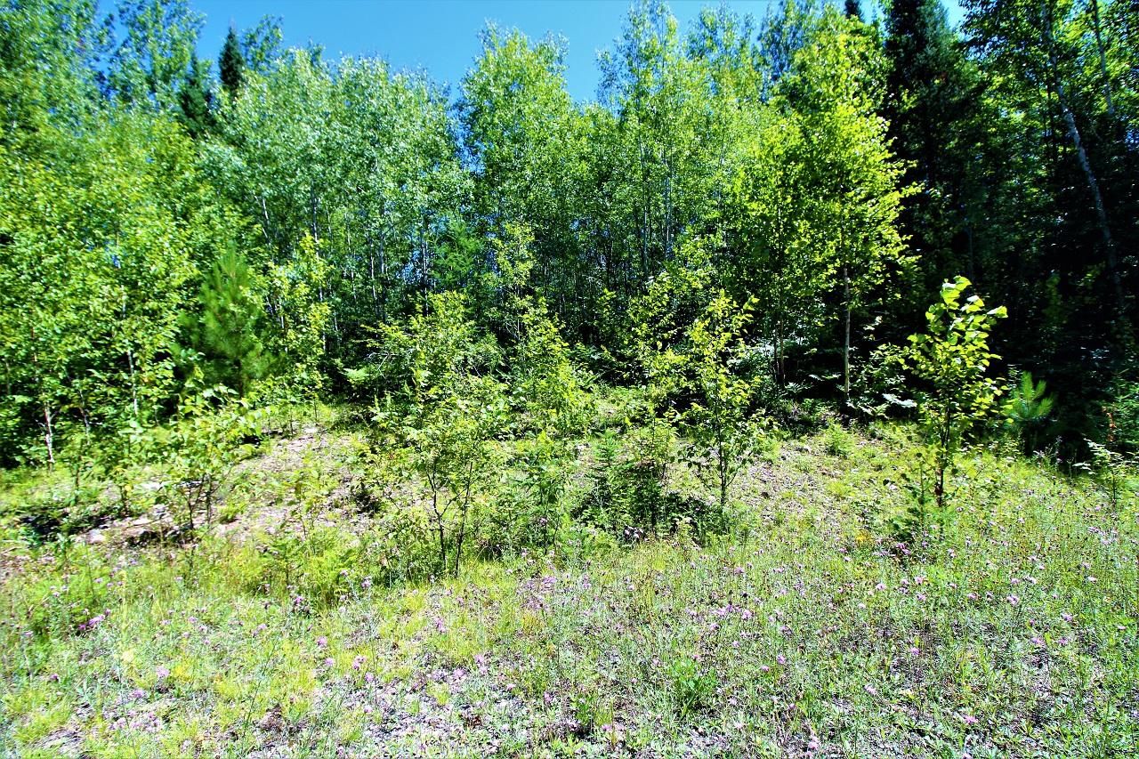 51 Mercer Wi 54547 Mercer, WI 54547 - Photo 9 of 15 Gallery Image 9