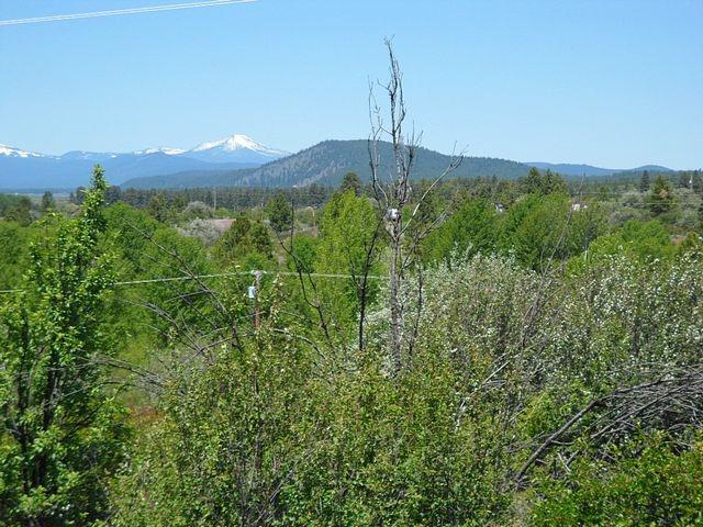 37404 Lakeland Road Chiloquin, OR 97624 - Photo 12 of 23 Additional Photo