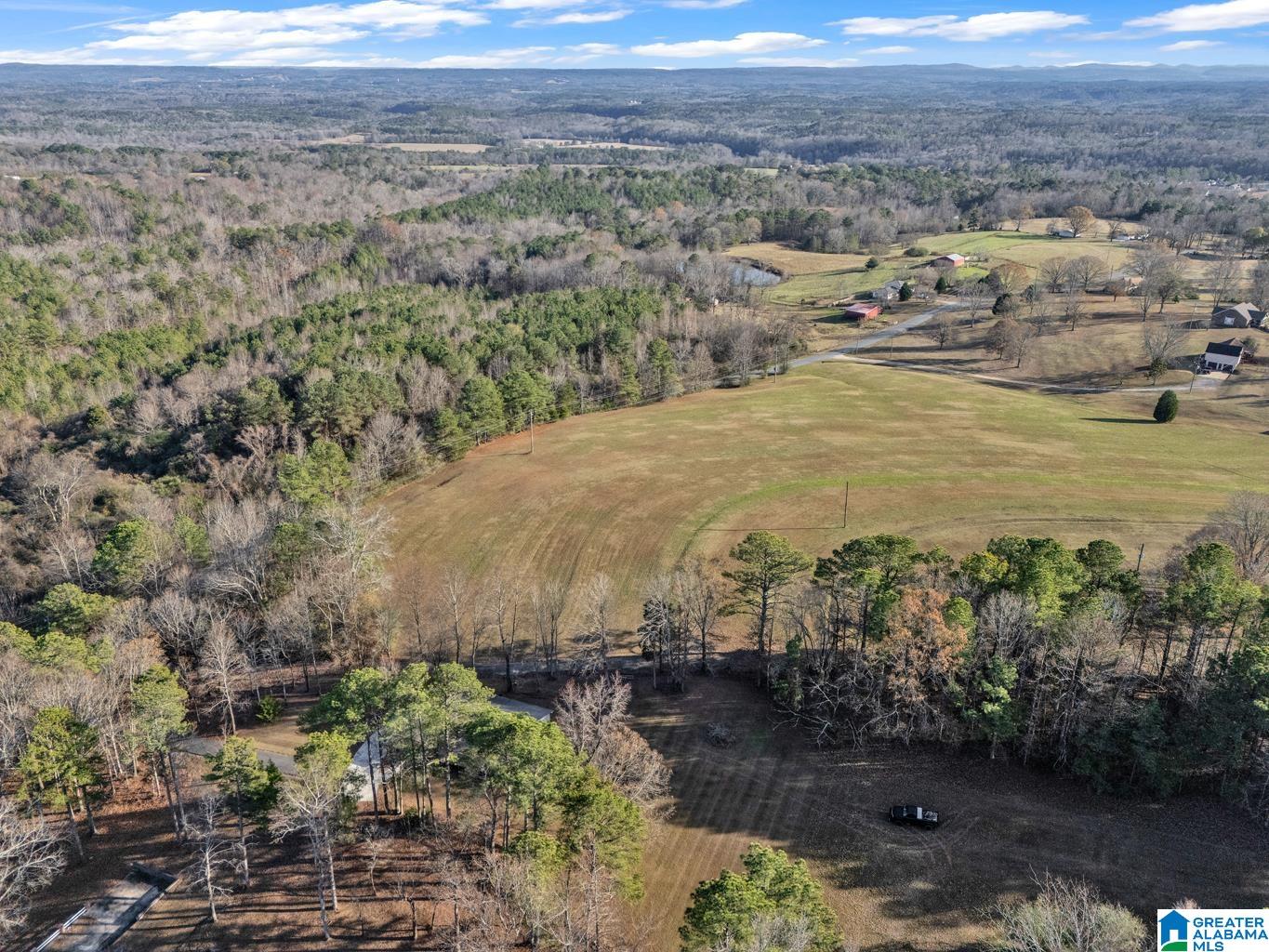 1163 Cox Cove Road Hayden, AL 35079 - Photo 42 of 48