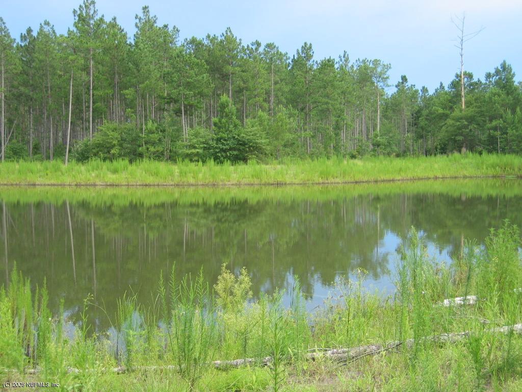 0 Flora Springs Road South Jacksonville, FL 32219 - Photo 2 of 6 Man Made Lake/Pond
