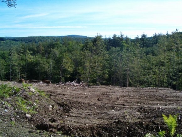 Nelson Ludlow, VT 05149 - Photo 1 of 1