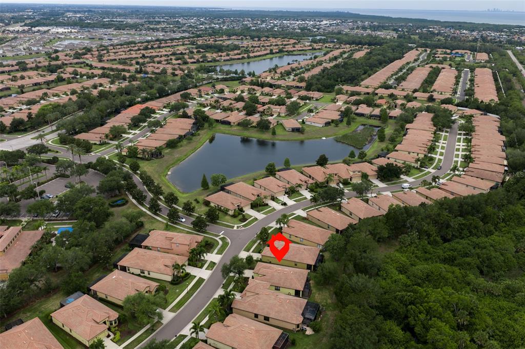 147 Silver Falls Drive Apollo Beach, FL 33572 - Photo 42 of 72