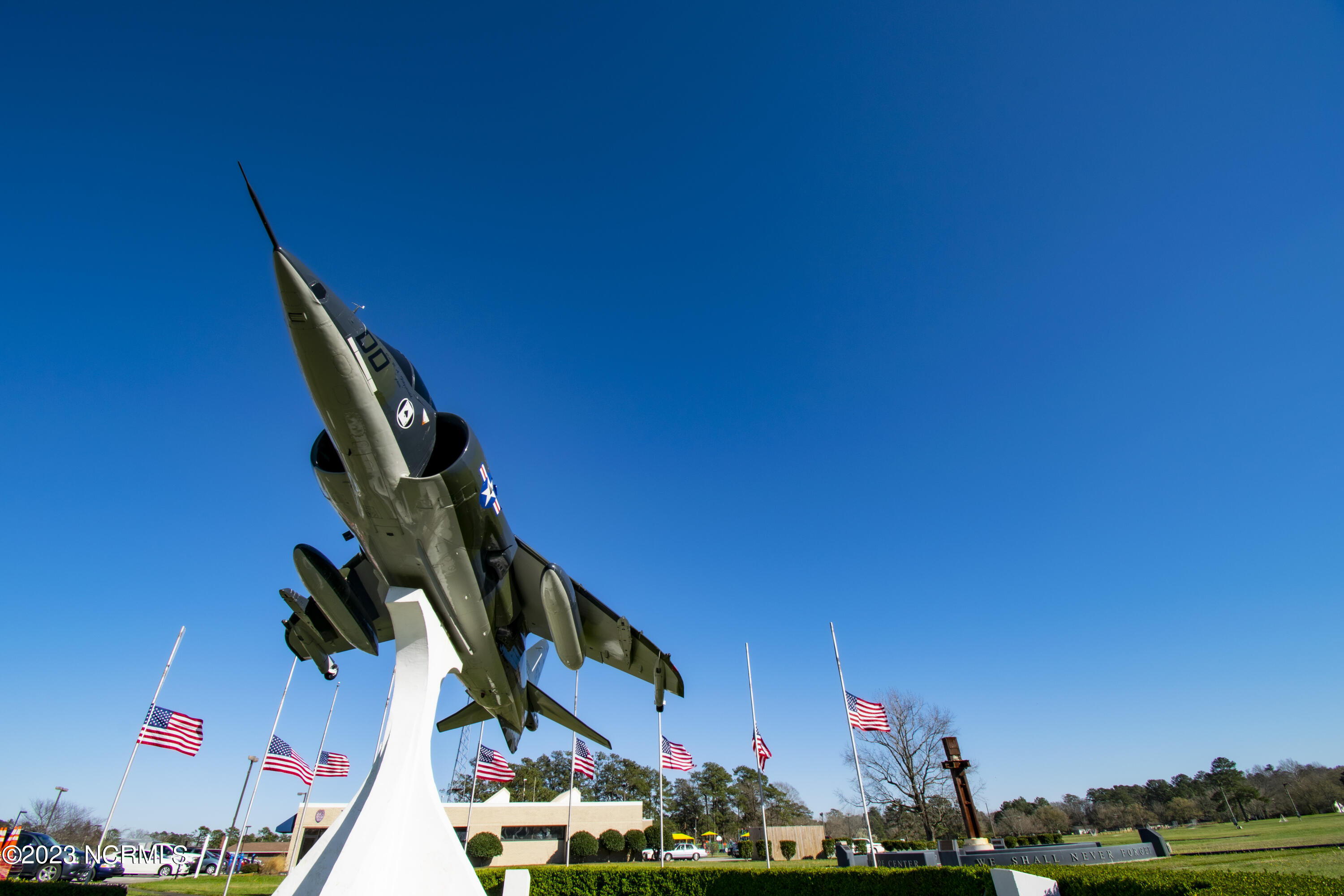 402 Lake Road Havelock, NC 28532 - Photo 9 of 9 Harrier on a Stick