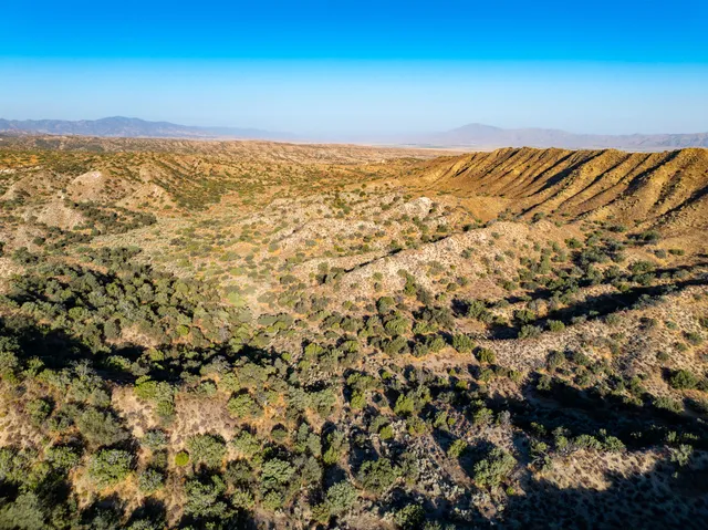 a view of city and ocean