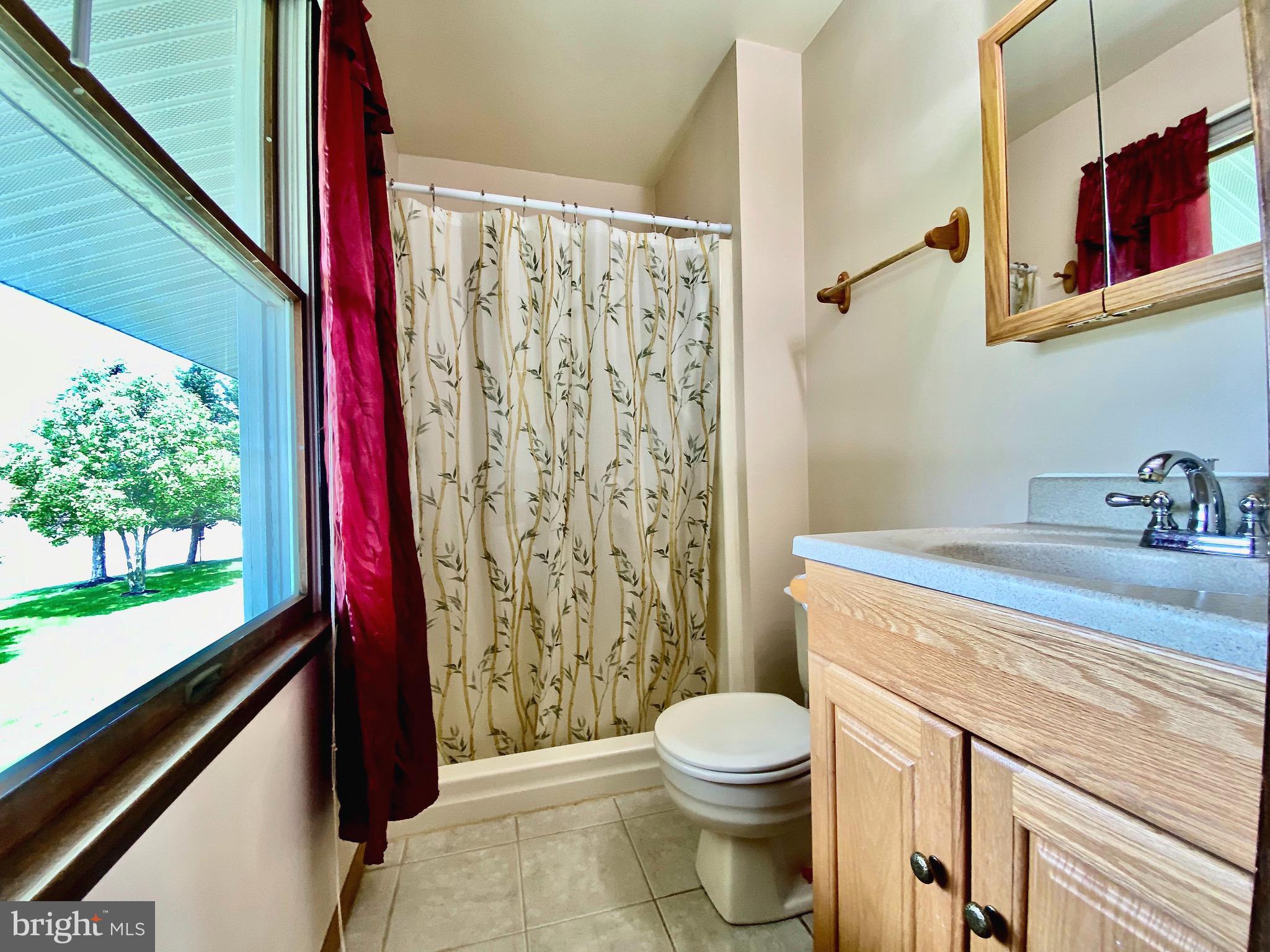 2807 Fridinger Mill Road Manchester, MD 21102 - Photo 27 of 51 Master bathroom with stand-up shower