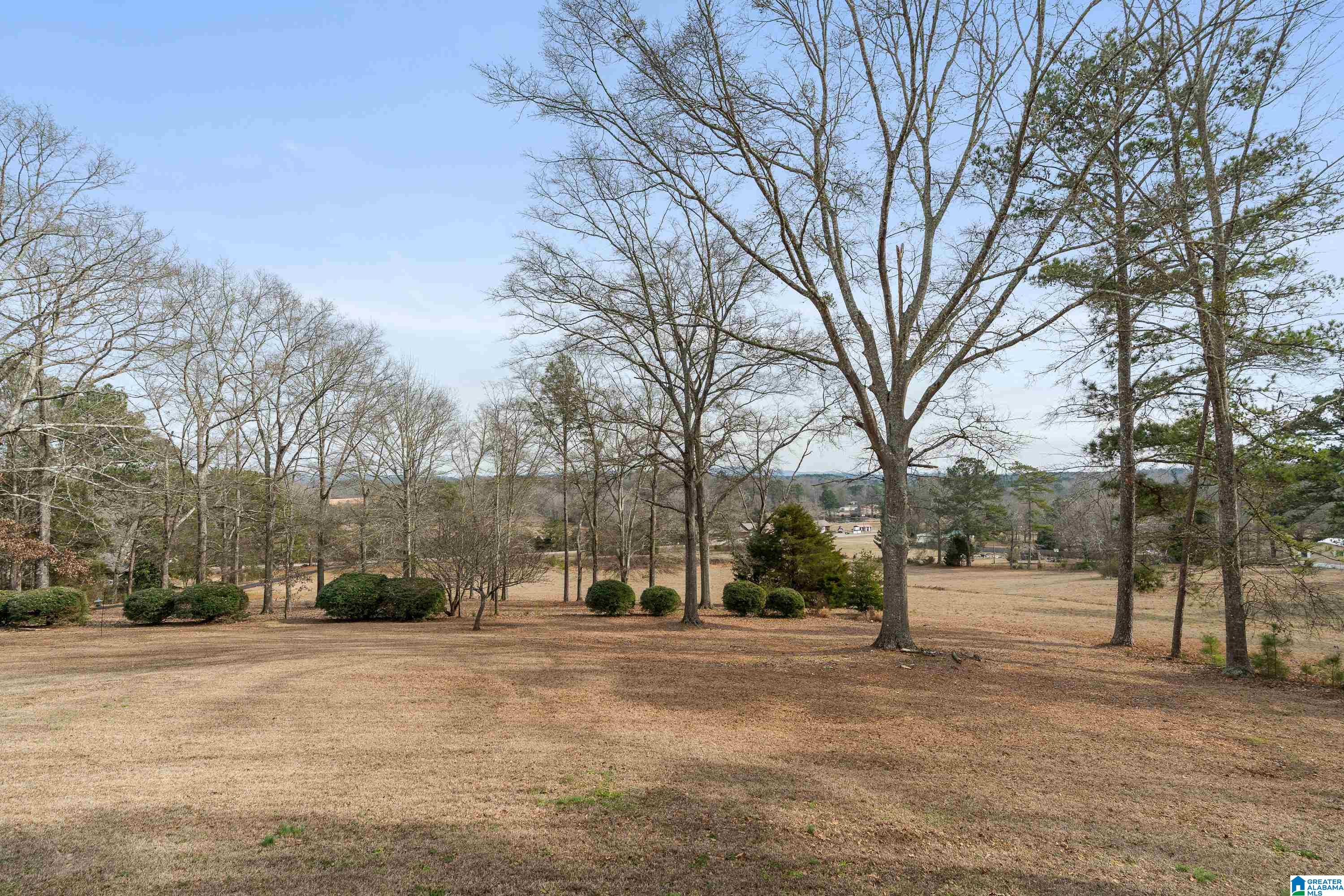 4175 Logan Martin Dam Road Cropwell, AL 35054 - Photo 36 of 47
