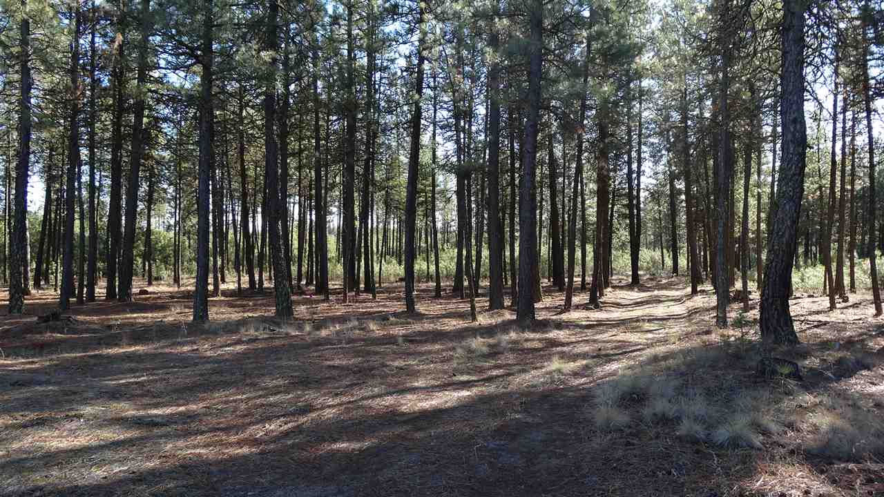 3303 West Smythe Road Spokane, WA 99224 - Photo 3 of 11