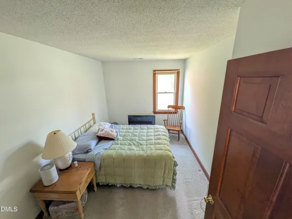 a view of backyard with plants and large trees