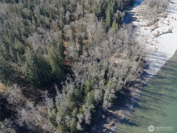 a view of a dry yard with lots of bushes
