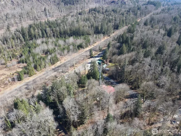 a view of a forest with a forest