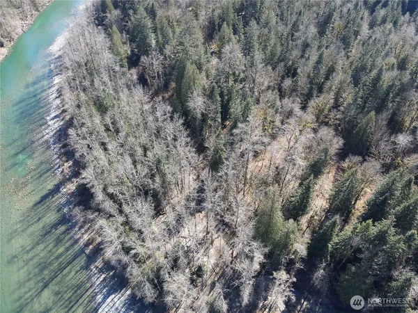a view of a forest with lots of trees
