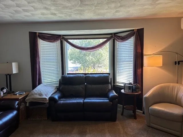 a bedroom with furniture and a window