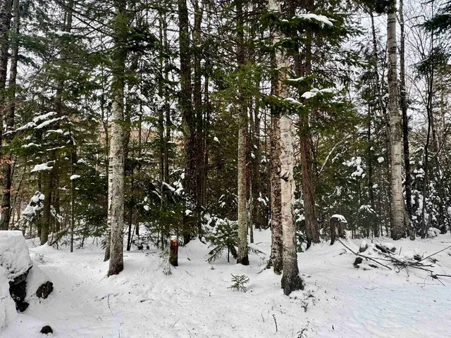 $289,500 | 151 Westmore Road, Charleston, VT 05846