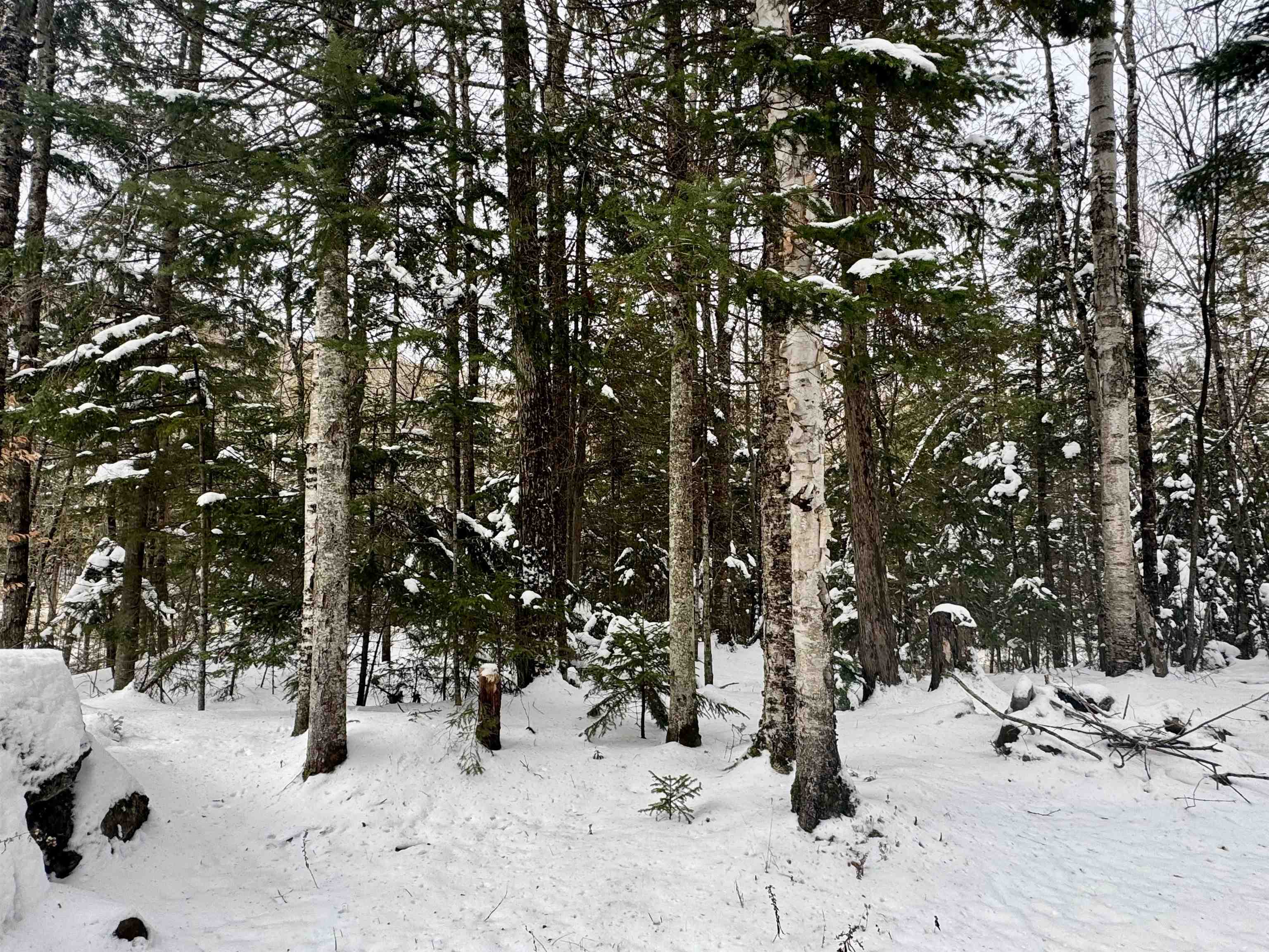 151 Westmore Road Charleston, VT 05846 - Photo 27 of 32 Gallery Image 27