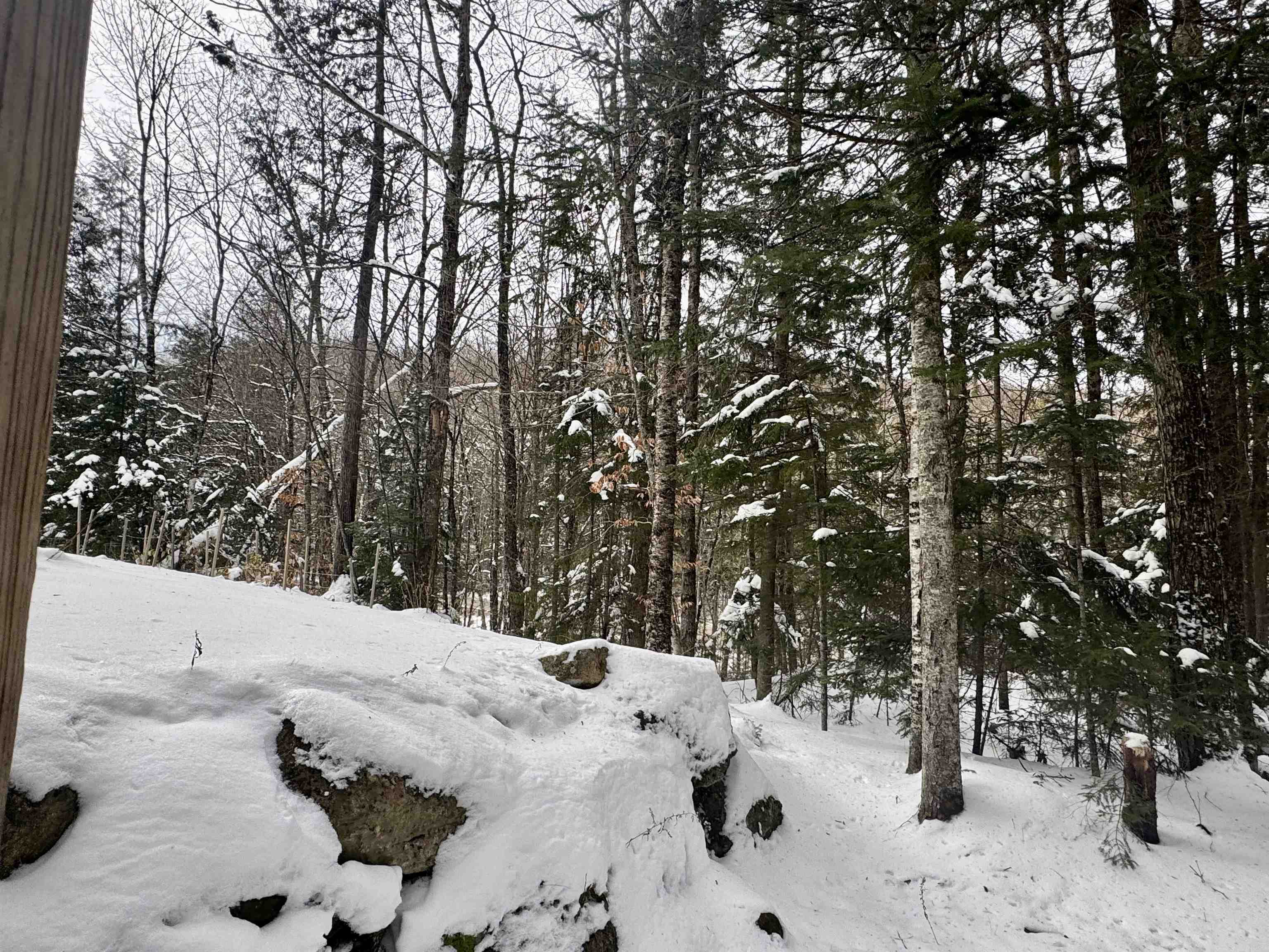 151 Westmore Road Charleston, VT 05846 - Photo 28 of 32 Gallery Image 28