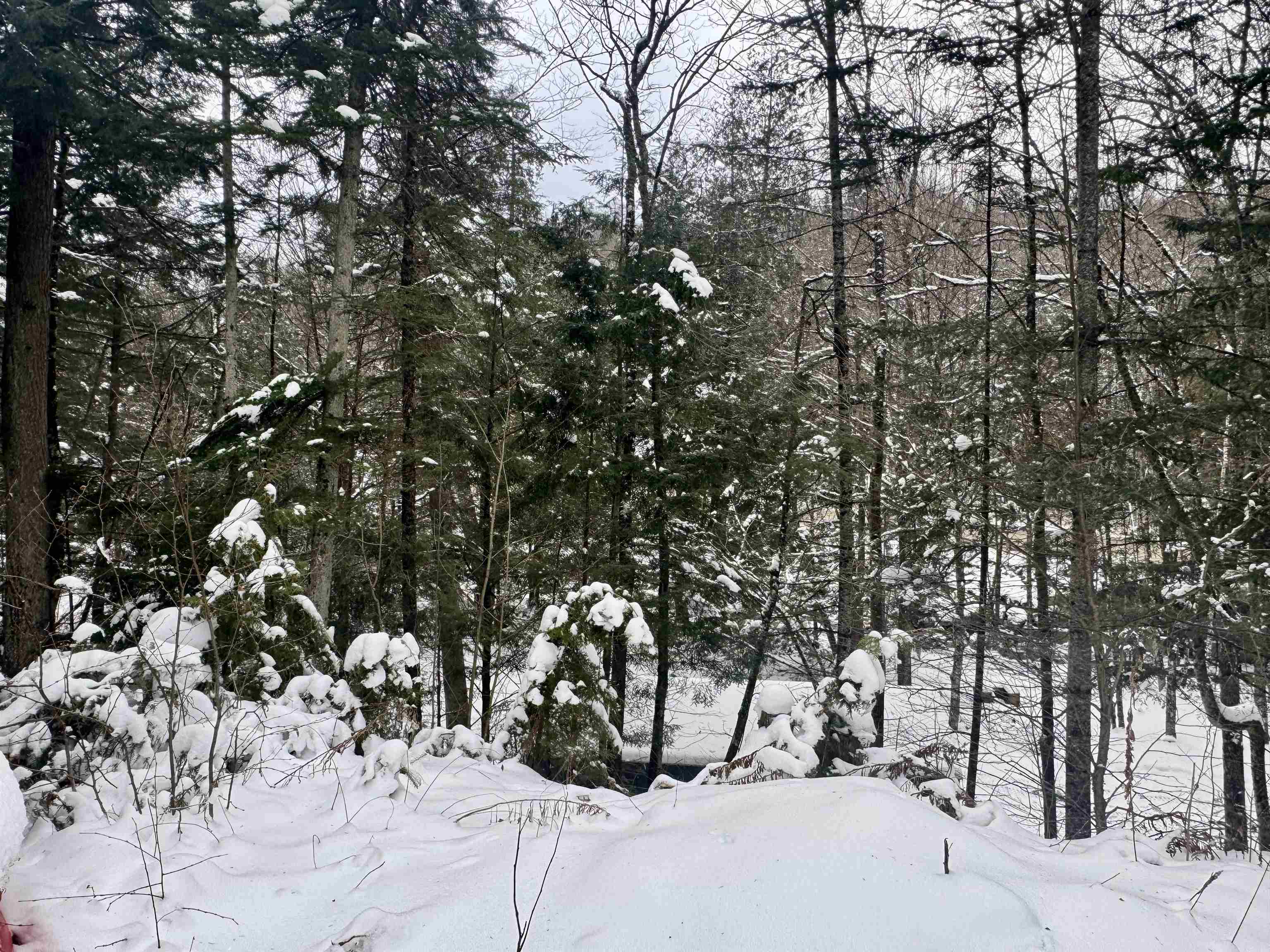 151 Westmore Road Charleston, VT 05846 - Photo 29 of 32 Gallery Image 29