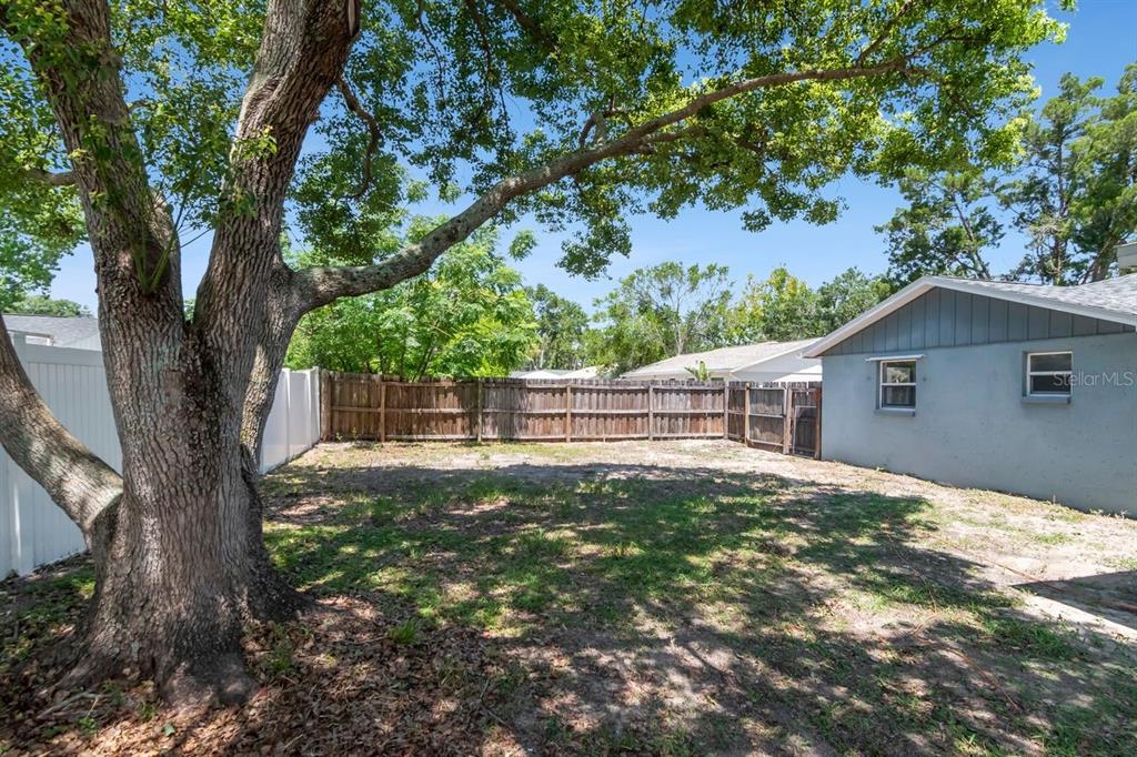 7908 Rusty Oak Drive New Port Richey, FL 34653 - Photo 33 of 38