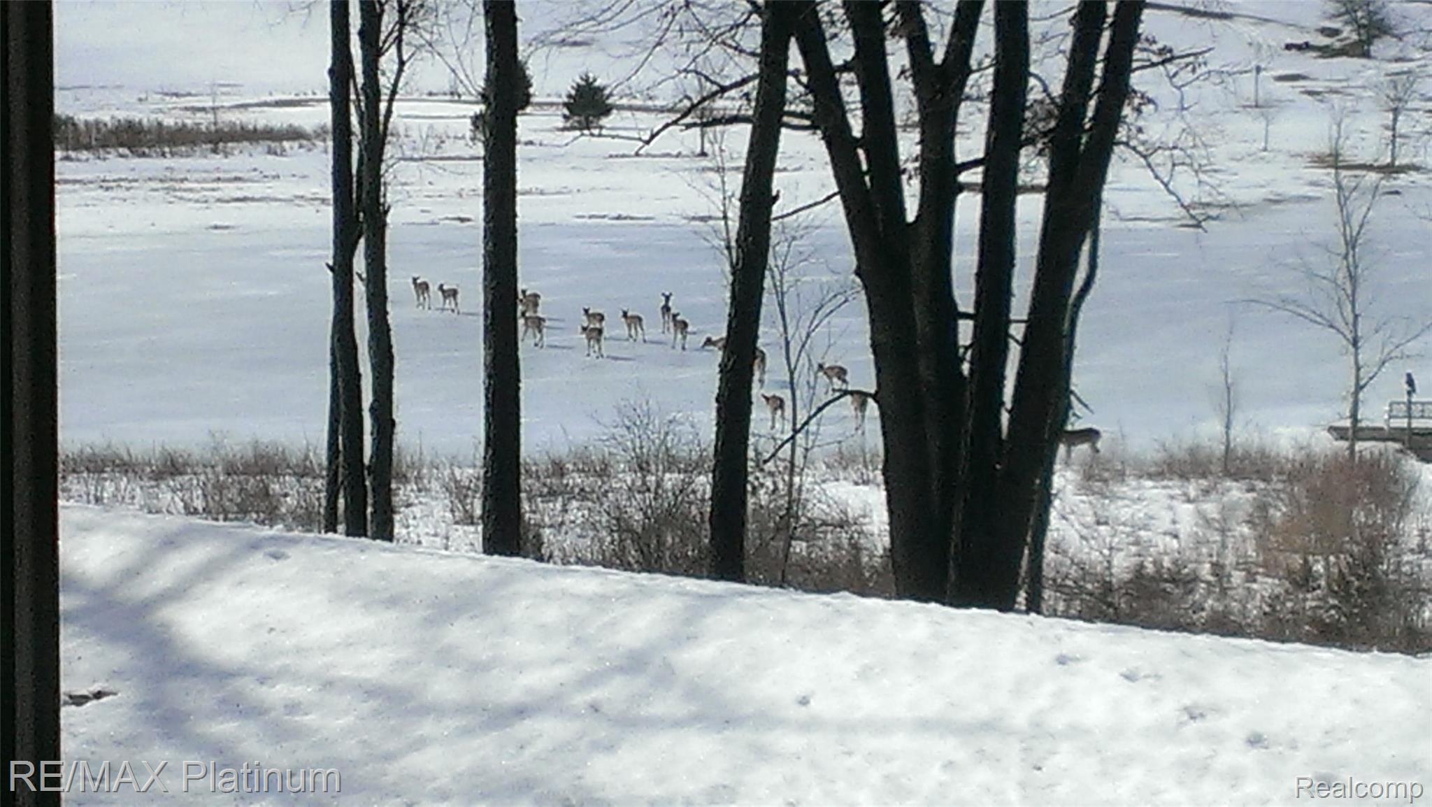 1848 Fox Ridge Drive Howell, MI 48843 - Photo 62 of 68 Beautiful in any Season
